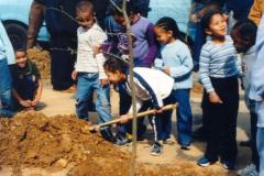 tree-planting2 tree-planting2